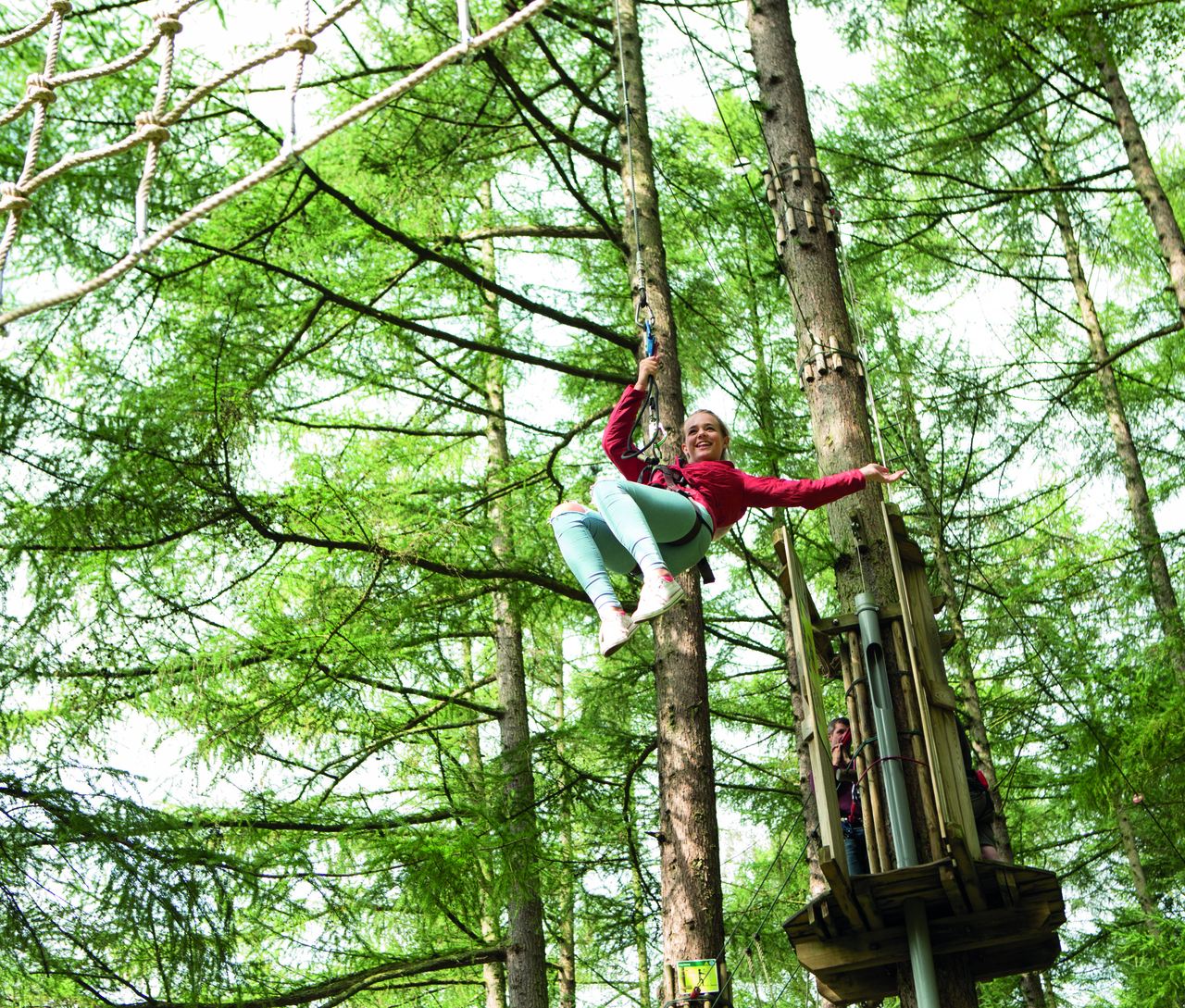 Go Ape In Thetford Forest Family Discover Norfolk